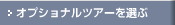 オプショナルツアーを選ぶ