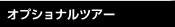 オプショナルツアー
