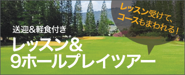 9ホールプラスゴルフレッスン