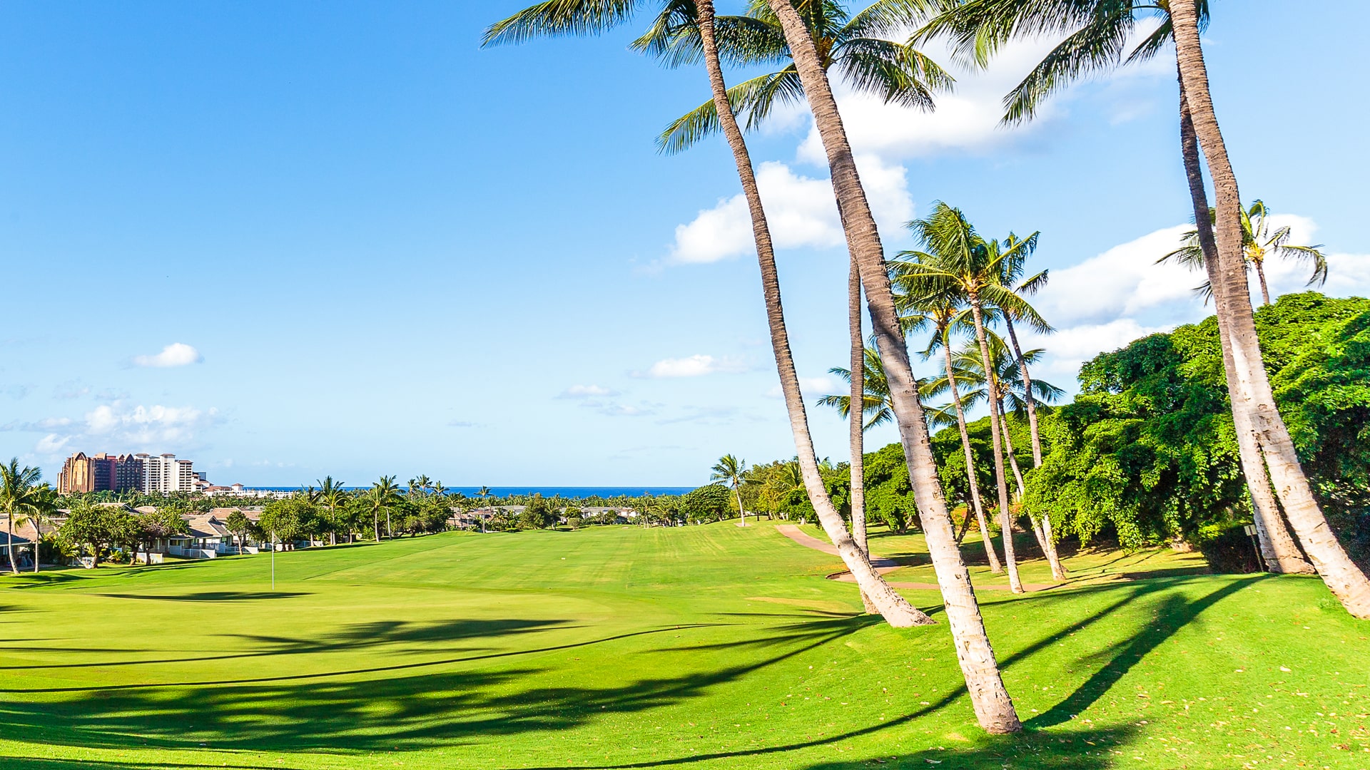 ハワイオアフ島のゴルフ 場予約 ワイキキのホテルからの送迎 1人予約 オプショナルツアーなら40年の実績を持つタチバナエンタープライズへ タチバナエンタープライズ
