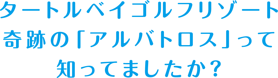 タートルベイゴルフリゾート奇跡の「アルバトロス」って知ってましたか？