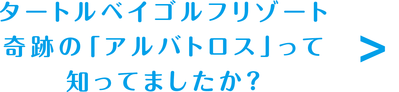 タートルベイゴルフリゾート奇跡の「アルバトロス」って知ってましたか？